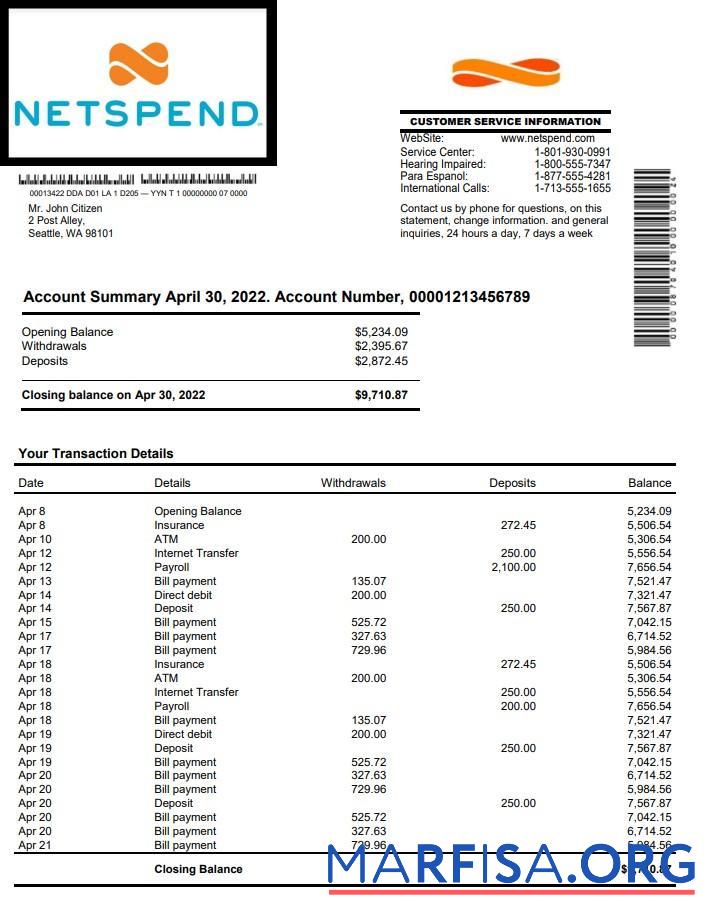 Printable USA Netspend bank statement word sample